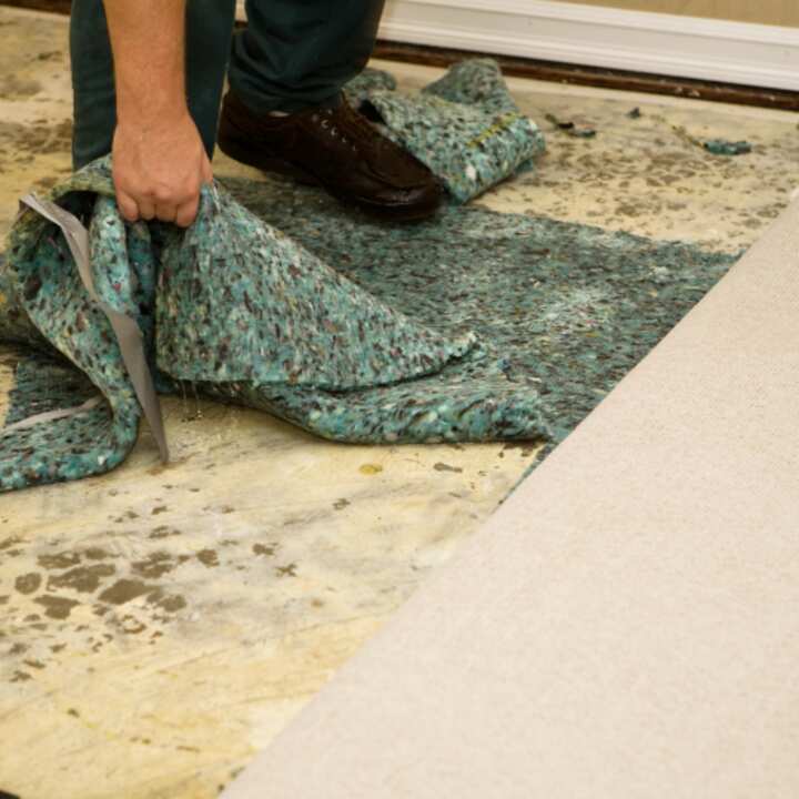 Moisture Mapping Services Near - Waterdamagecleanup 